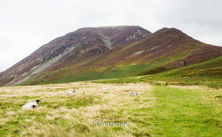 Lake District 