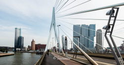 Rotterdam 