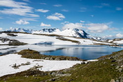 Sognefjellsvegen 