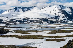 Sognefjellsvegen 