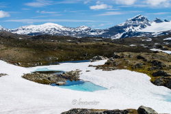 Sognefjellsvegen 