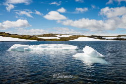 Sognefjellsvegen 