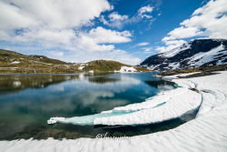 La Route 55 ou Sognefjellsvegen