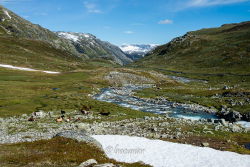 Sognefjellsvegen 