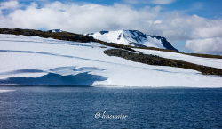 Sognefjellsvegen 