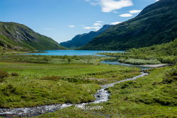 Sognefjellsvegen 