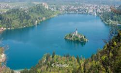 Le lac de Bled