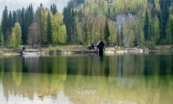 Lac de Bohinj 