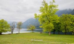 Lac de Bohinj 