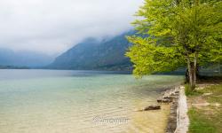 Lac de Bohinj 