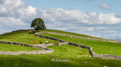 Yorkshire Dales 