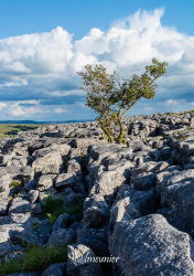 Yorkshire Dales 