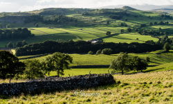 Yorkshire Dales 