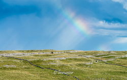 Yorkshire Dales 